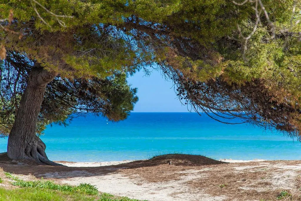 Rodriguez De La Fuente 19 Villa Playa de Muro  Spain
